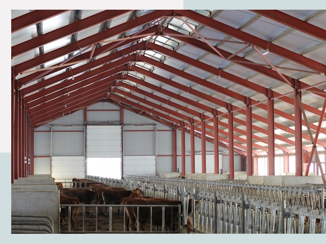 Строительство коровников в Кузнецке