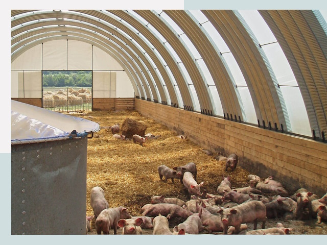 Строительство свинарников в Кузнецке